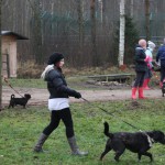 IMG_1035