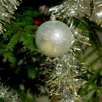 DSCF3684