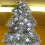 DSCF3692